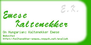 emese kaltenekker business card